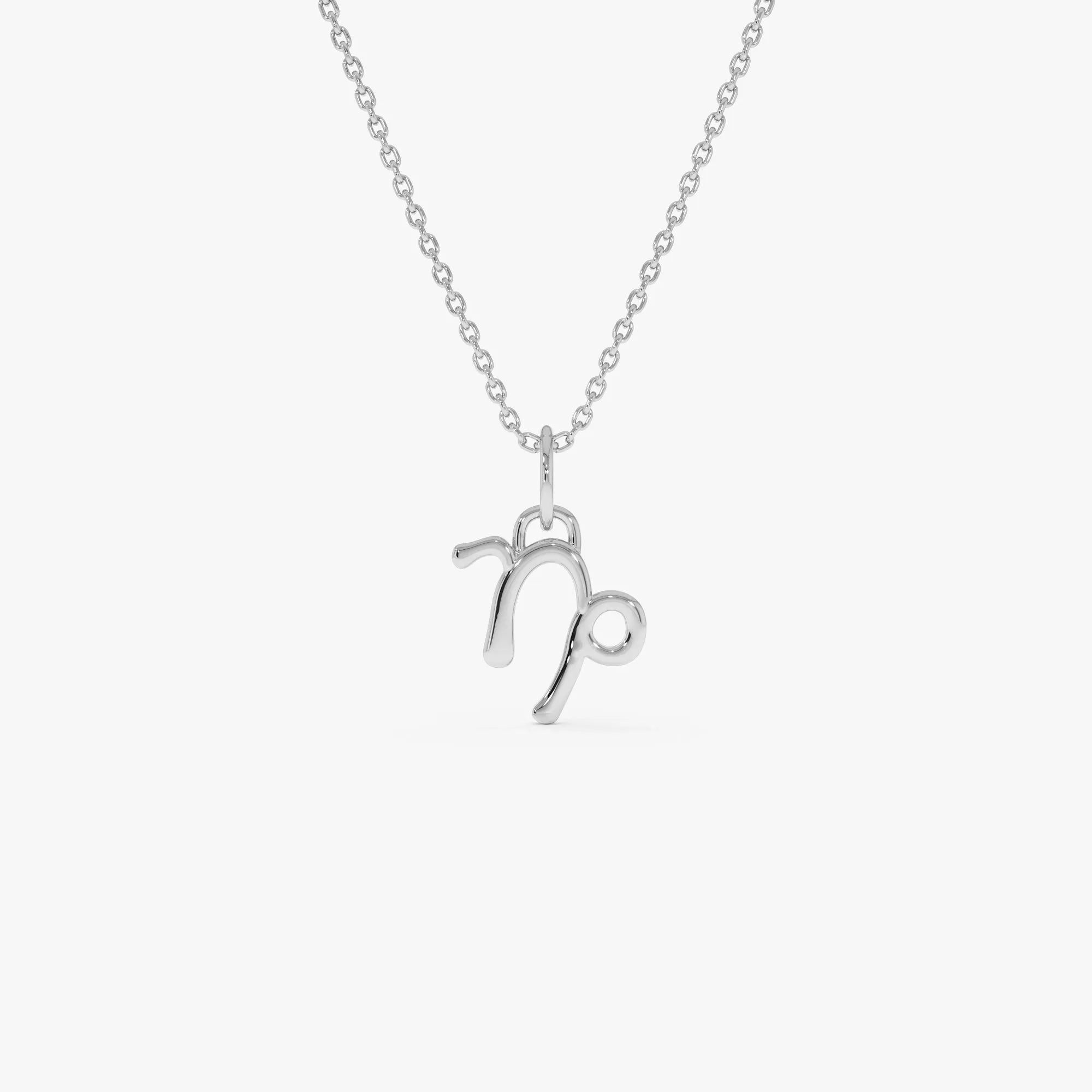 14k Solid Gold Capricorn Zodiac Charm Pendant Necklace