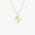 14k Solid Gold Capricorn Zodiac Charm Pendant Necklace