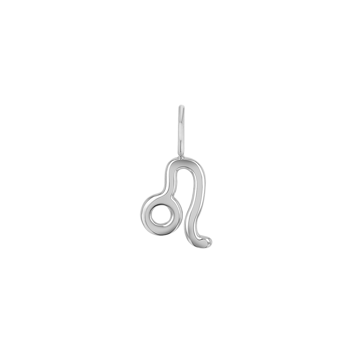 Zodiac Charm
