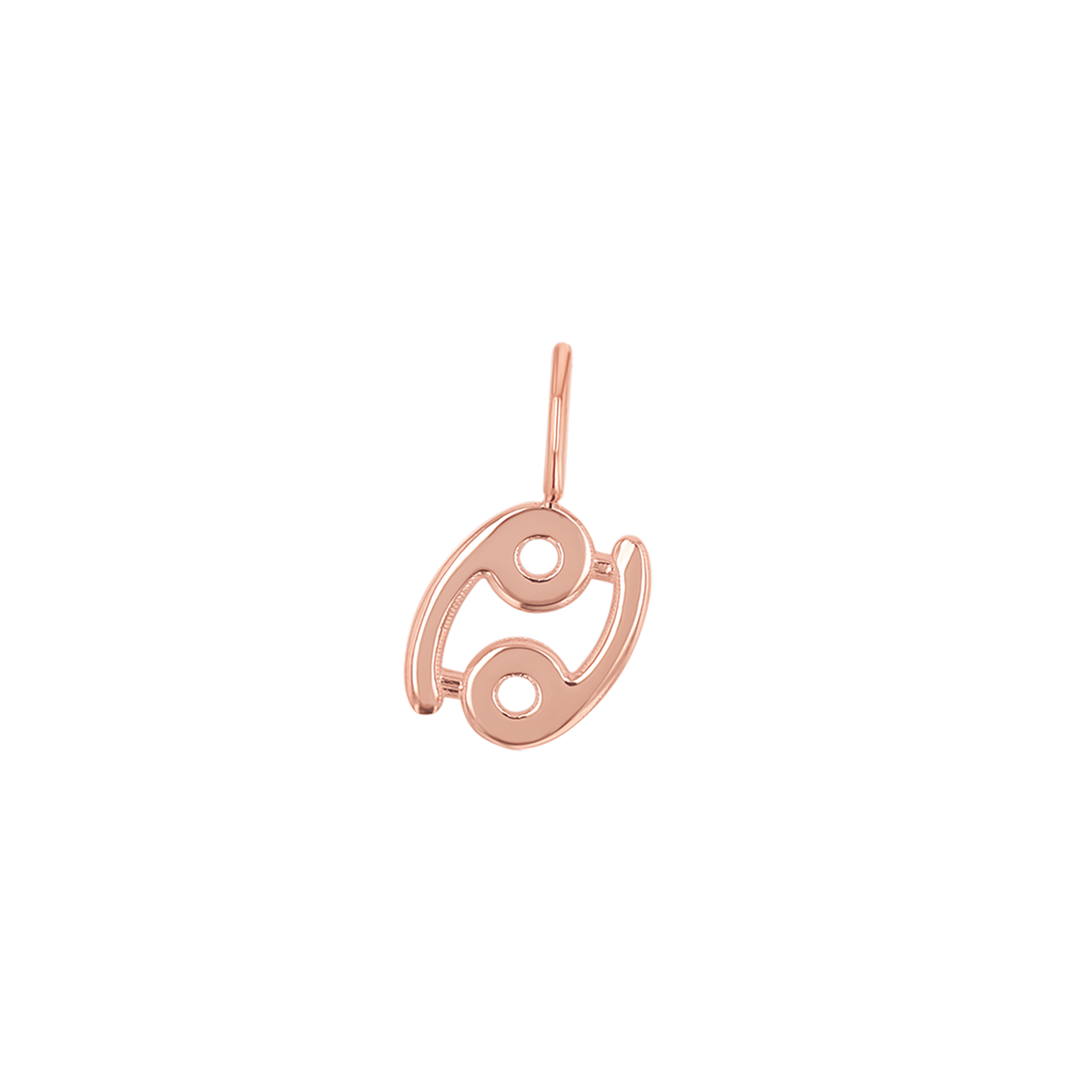 Zodiac Charm