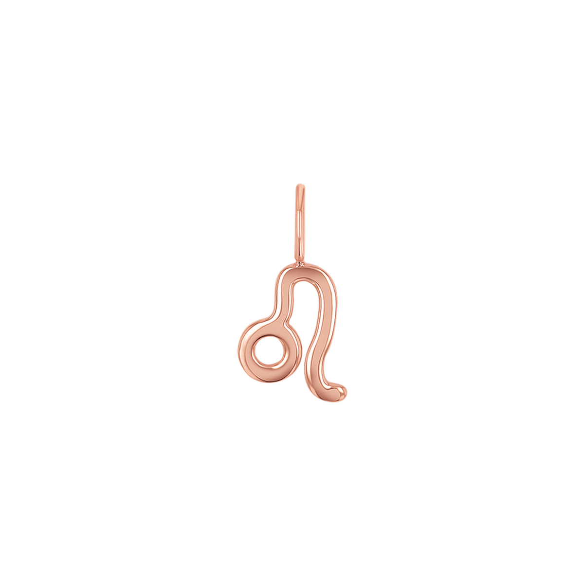Zodiac Charm